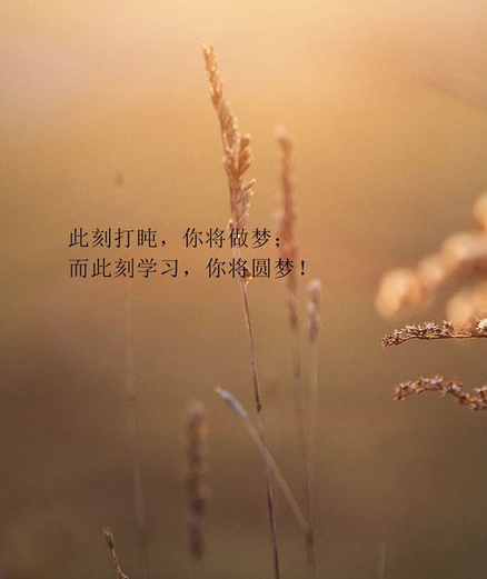 1524549444396460.png